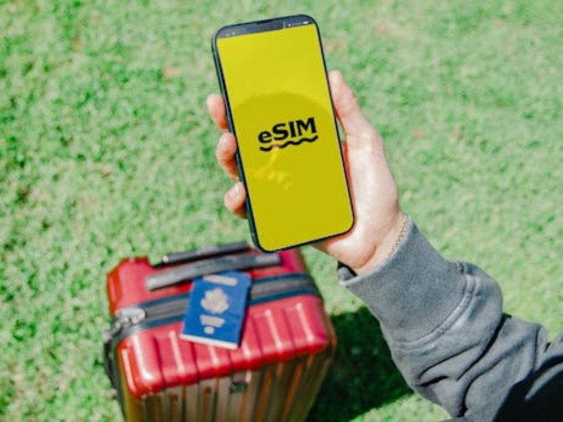 eSIM 이란
