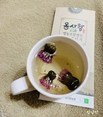 엉겅퀴 먹는법 엉겅퀴 차 마시는 법_21