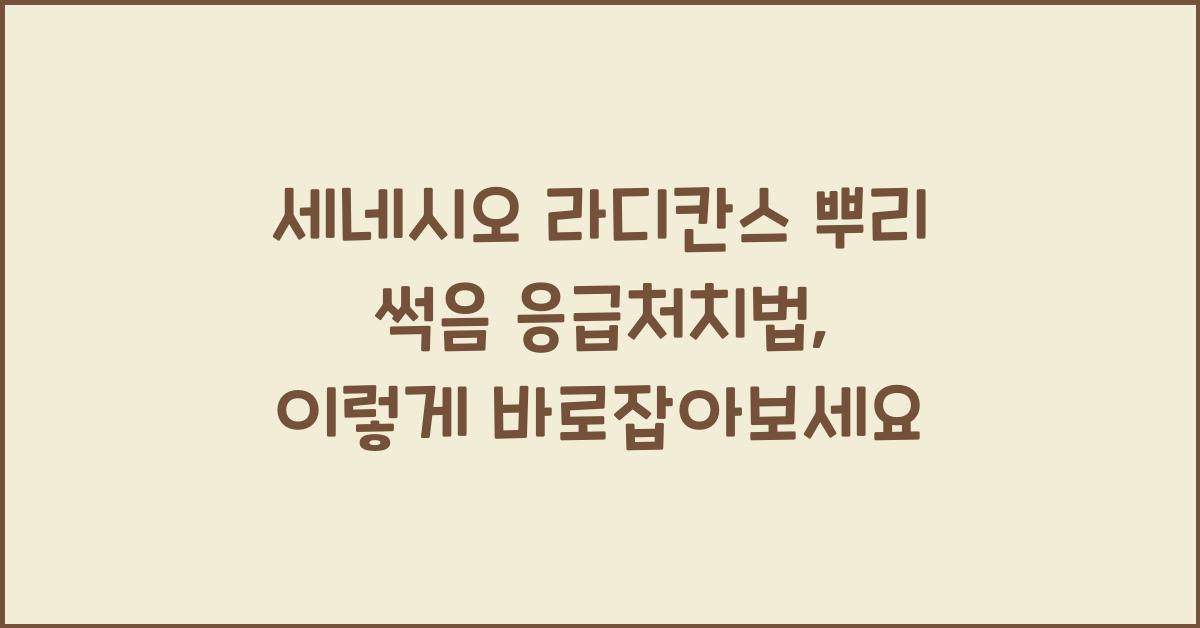 세네시오 라디칸스 뿌리 썩음 응급처치법