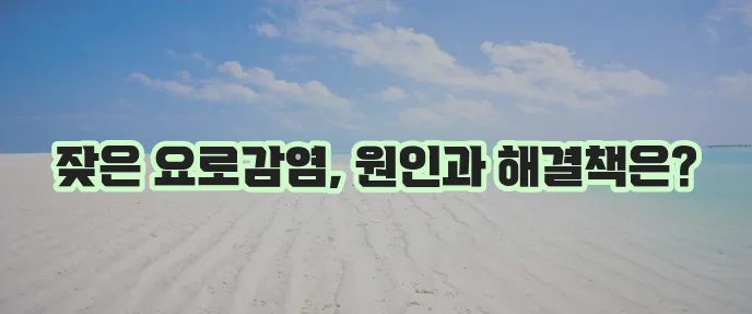 재발성 요로감염 원인과 확실한 극복방법을 알아봅시다!