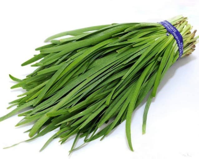 베란다텃밭 부추재배