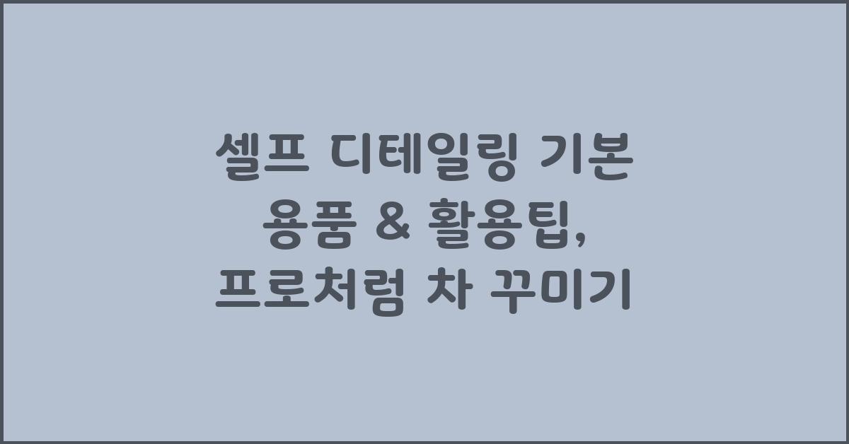 셀프 디테일링 기본 용품 & 활용팁