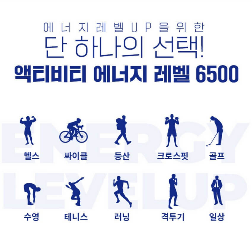 액티비티 에너지레벨 6500