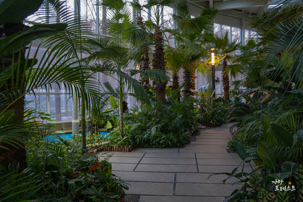 파주 문지리 535 카페 정원