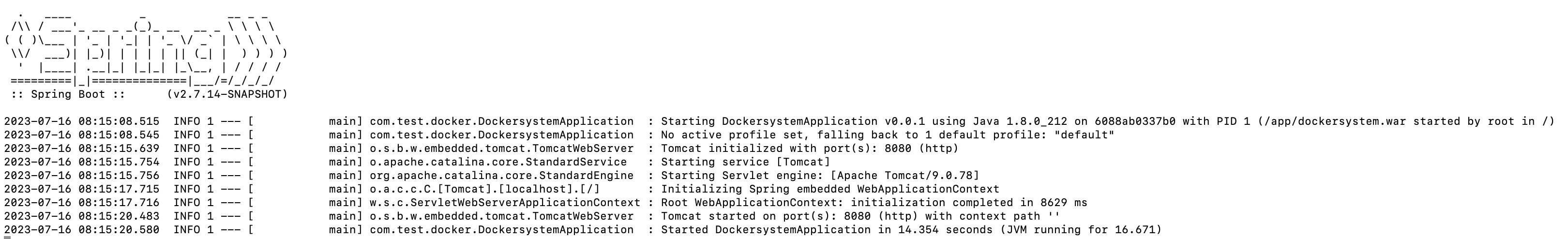 docker run container 실행 결과 화면