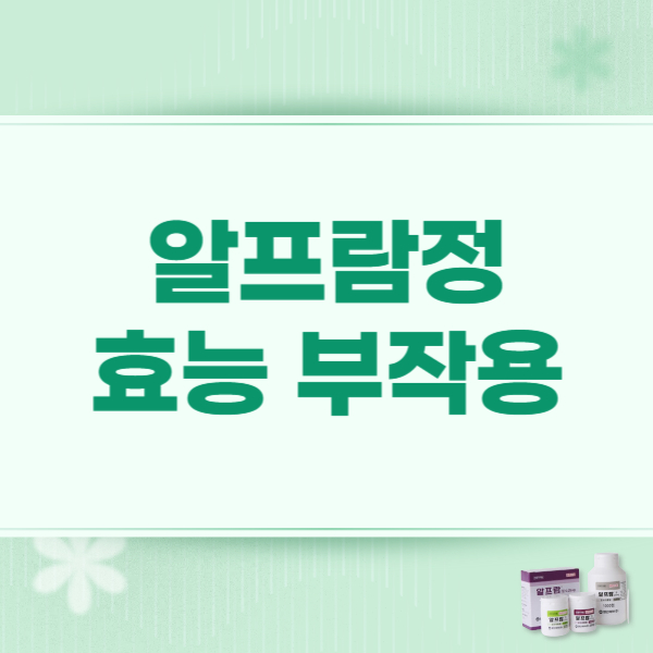 알프람정 0.25mg 부작용 효과