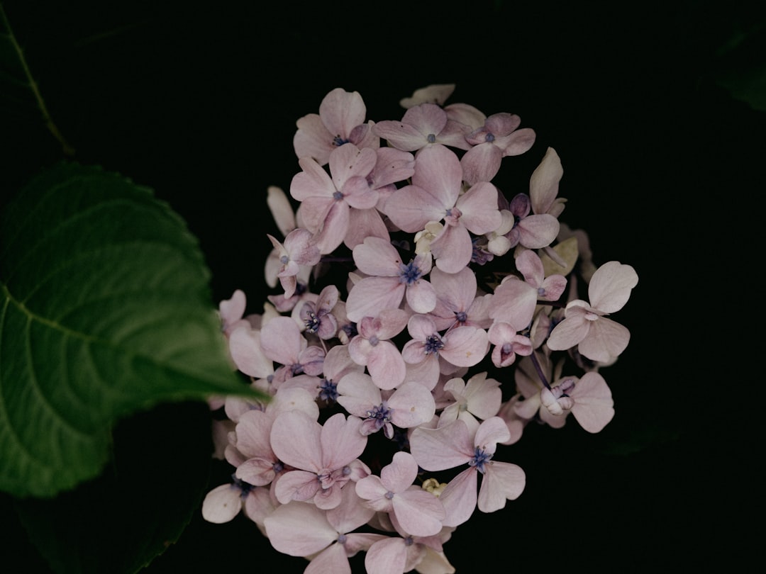 May 2nd