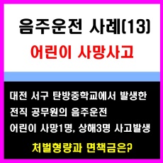 음주운전사례(13) 어린이 사망사고
