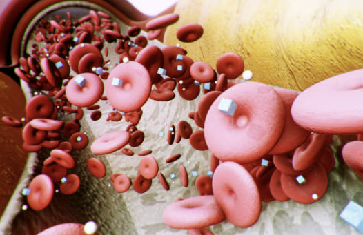 당뇨에 좋은 음식 나쁜 음식, 당뇨에 좋은 운동 추천!