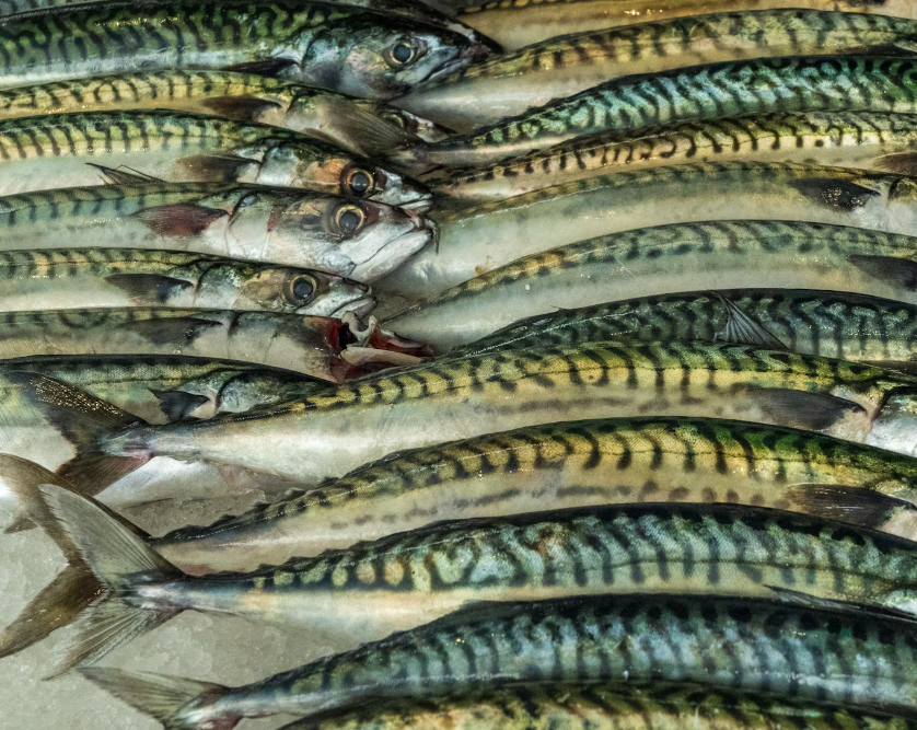 갑상선에 좋은 음식