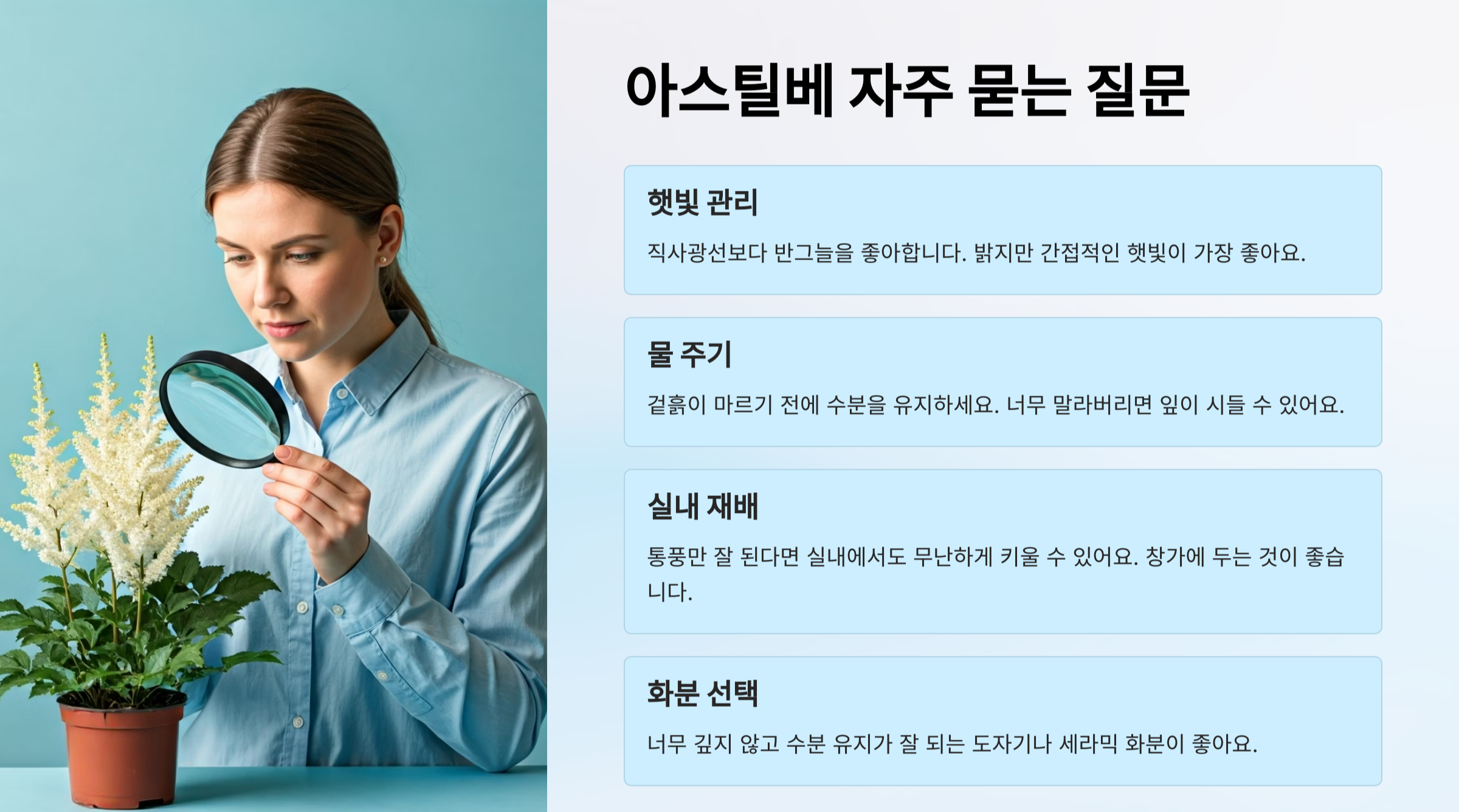 아스틸베