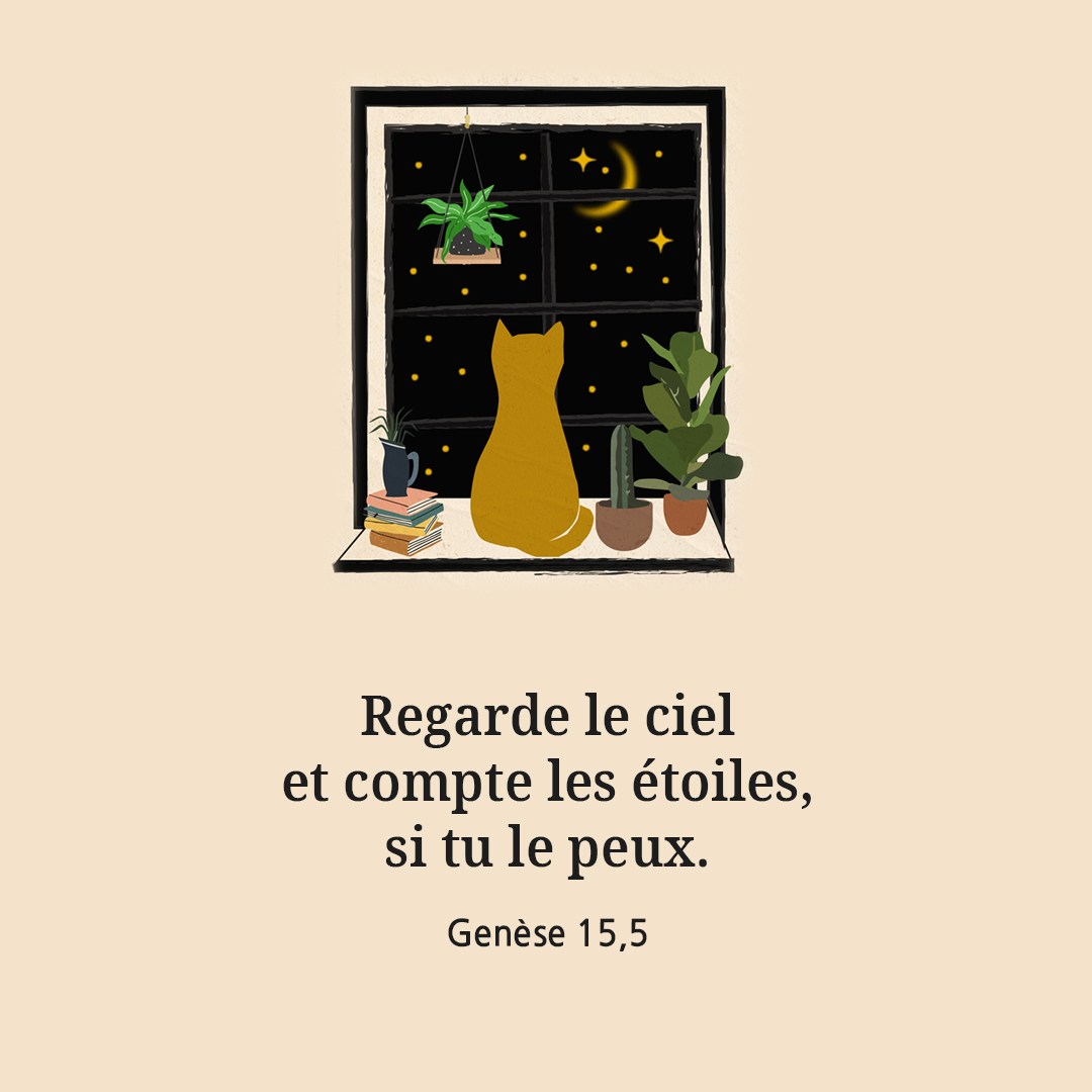 Regarde le ciel&#44; et compte les &eacute;toiles&#44; si tu le peux. (Gen&egrave;se 15&#44;5)