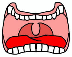 입안이 쓴 이유