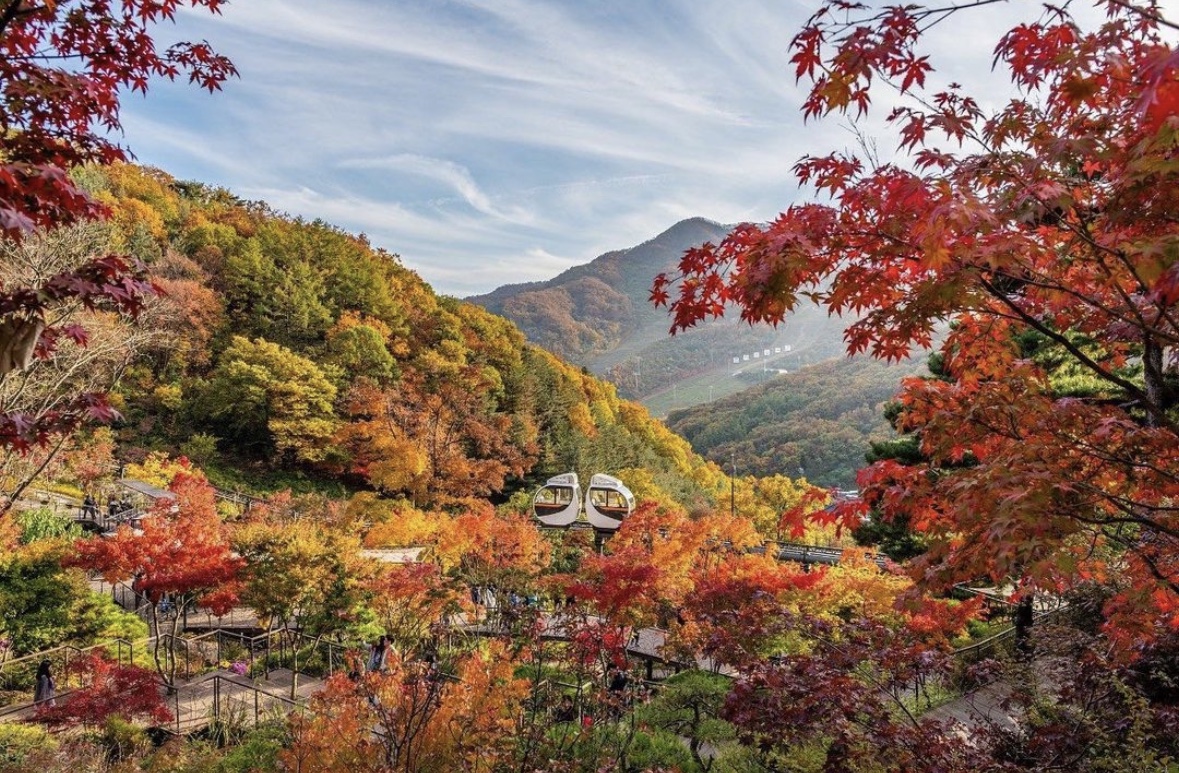 단풍시기