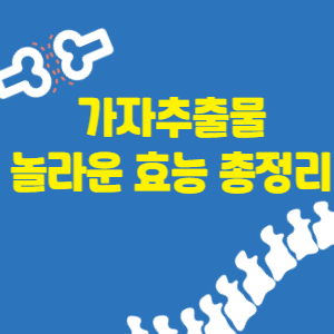 가자추출물-효능