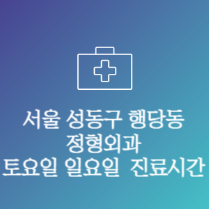 서울 성동구 행당동 주말 토요일 일요일 문여는 병원 진료시간