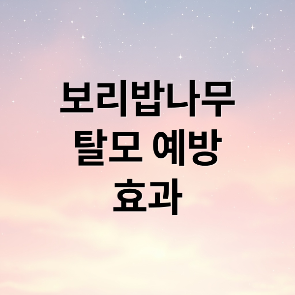 보리밥나무 탈모 예방 효과