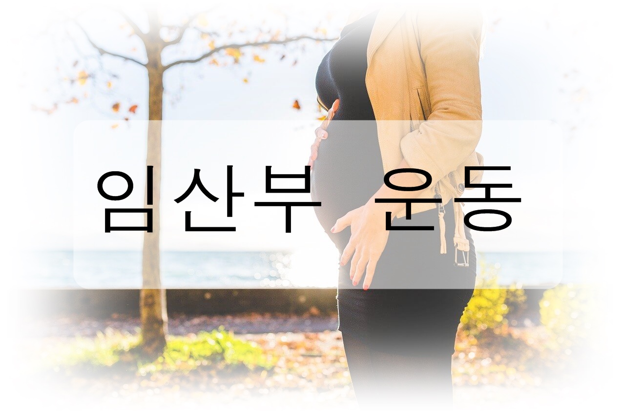 임산부 운동에 대해 알아보자!
