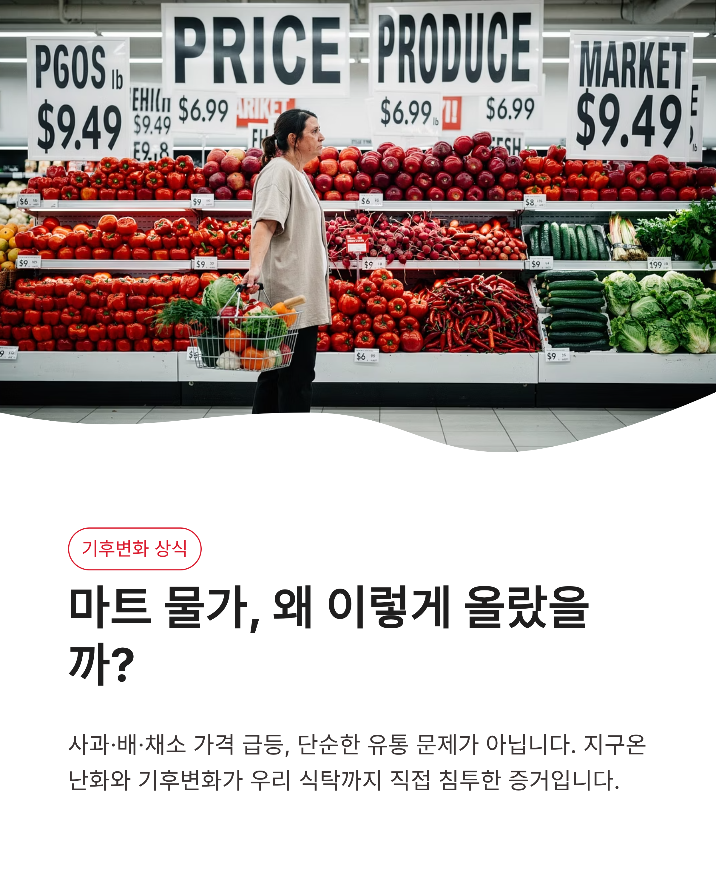 5월27일 기후행동(기후동행) 퀴즈 정답 알아보고 기후변화 상식 쌓기