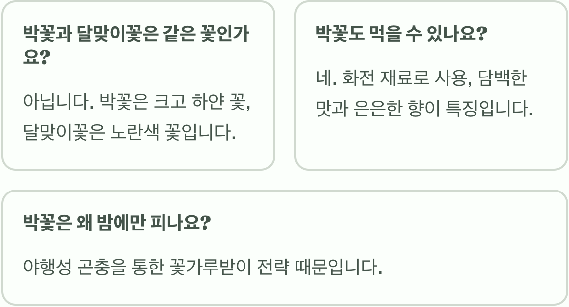 박꽃 꽃말과 상징적 의미 총정리