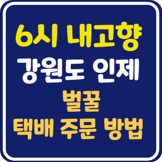 6시 내고향 인제 벌꿀 택배 주문 방법 : 오만보기