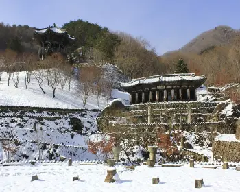하동 삼성궁_27