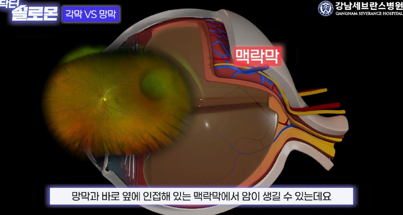 김민-교수