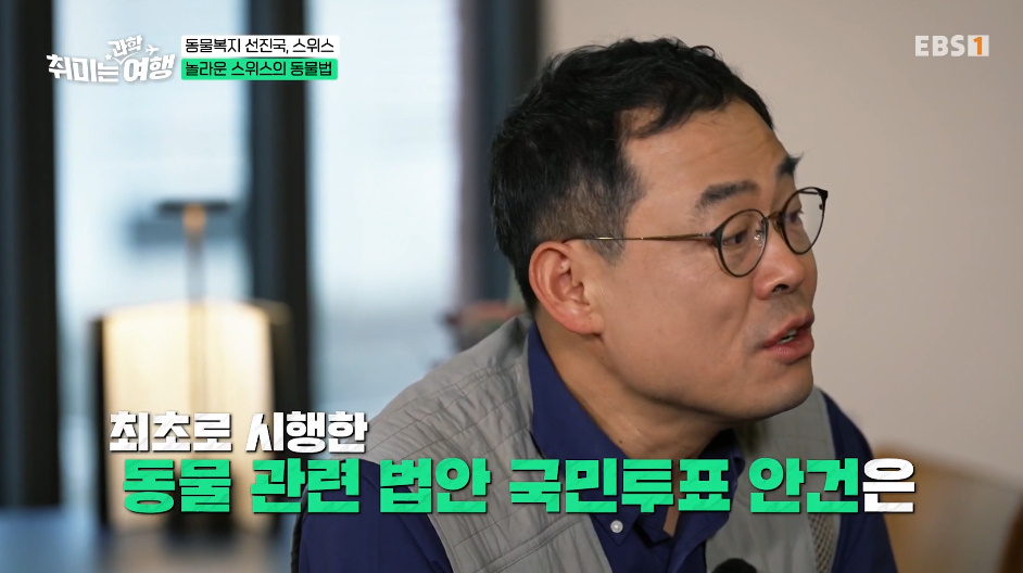 132년전부터 동물 무마취 도살법 등록했다는 스위스의 동물법.jpg | 인스티즈