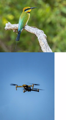 jpg파일 합치기 방법