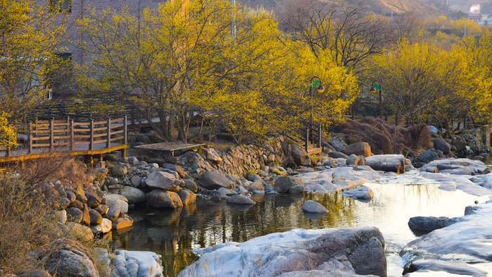 2025년 4월 국내 여행지 추천! 봄꽃과 함께 떠나는 최고의 여행지