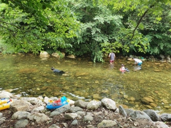 2025 여름휴가 계곡 추천 BEST 5 [+숨겨진 계속 명소]