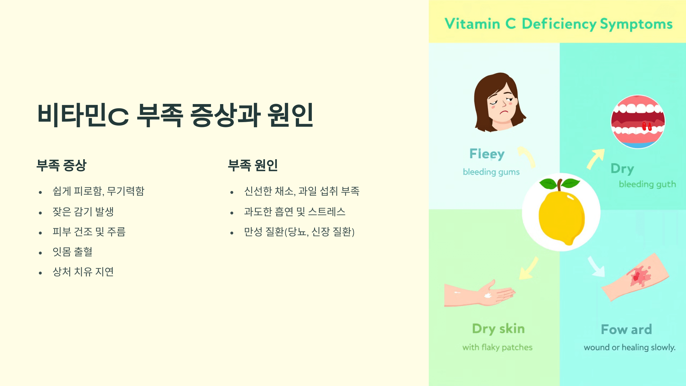 비타민C와 관련된 사진입니다.