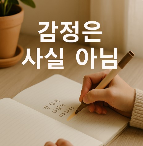 감정은 사실이 아니다? 감정의 진실을 마주하는 법 (감정 인식, 감정 다루기, 마인드셋 훈련)