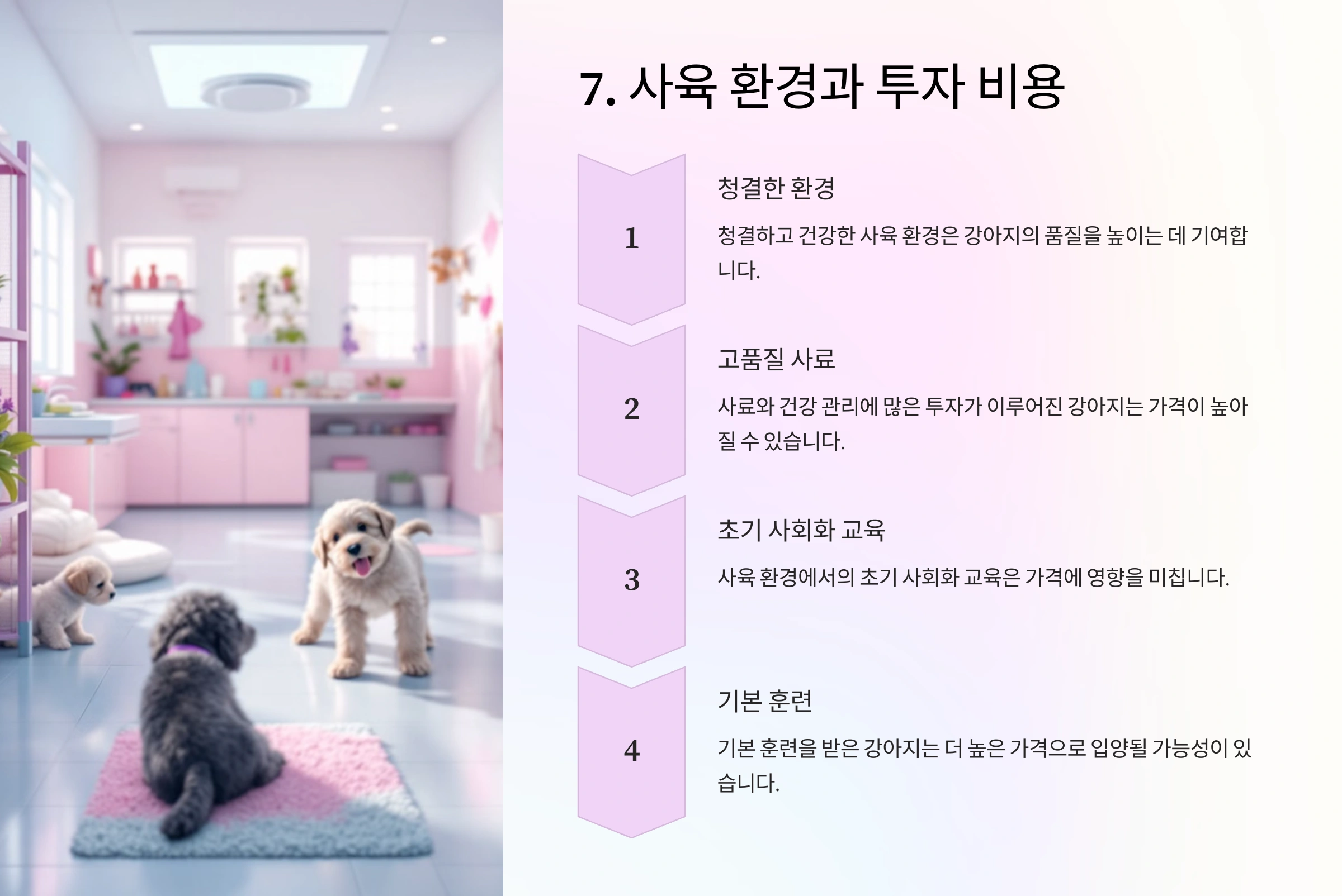 강아지 입양 가격이 책정되는 8가지 기준