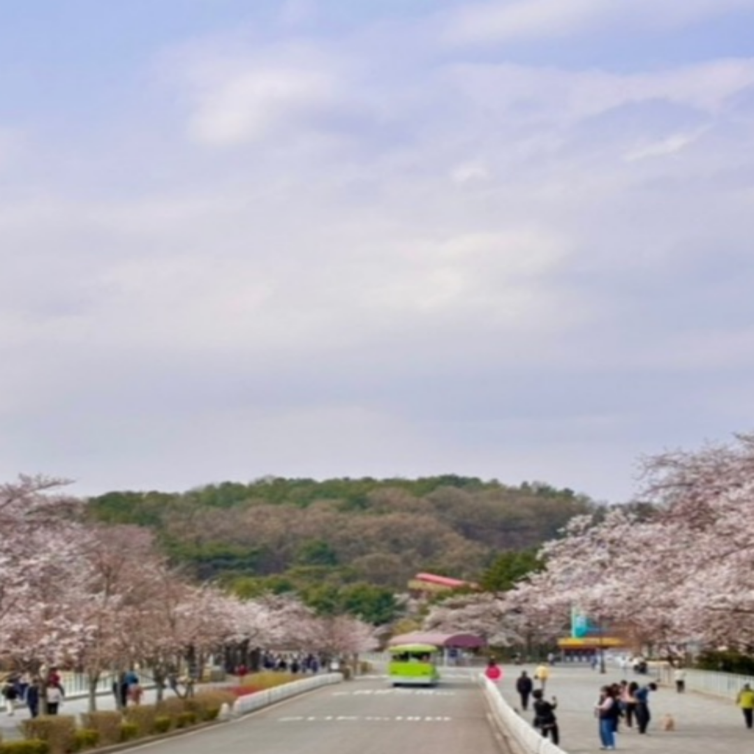 https://grandpark.seoul.go.kr