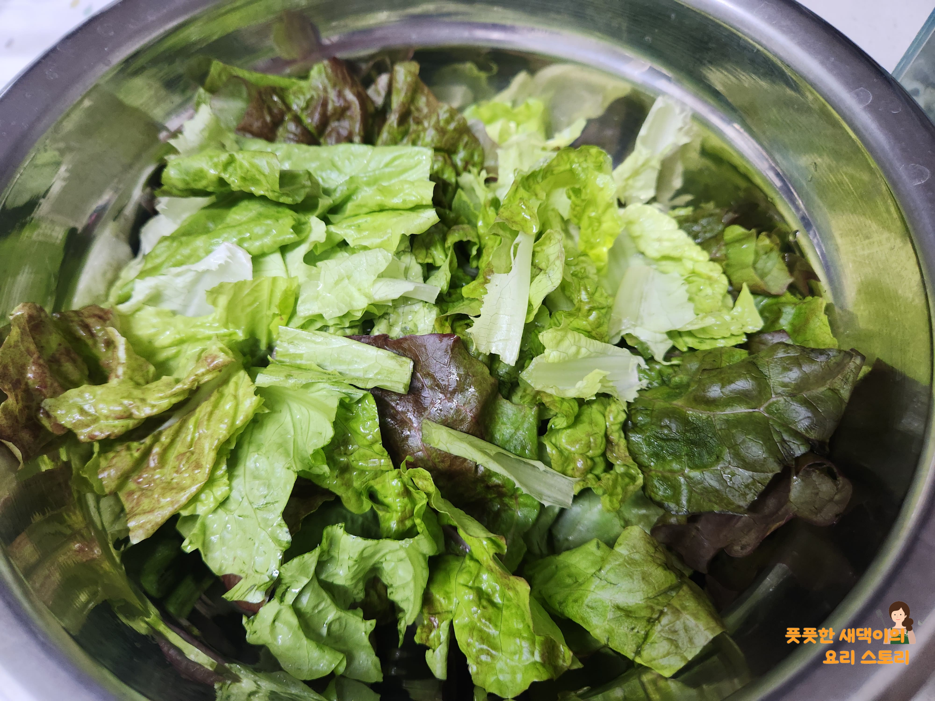 상추 세척후 적당한 크기로 손질하기