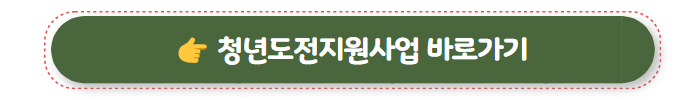청년도전지원사업 02