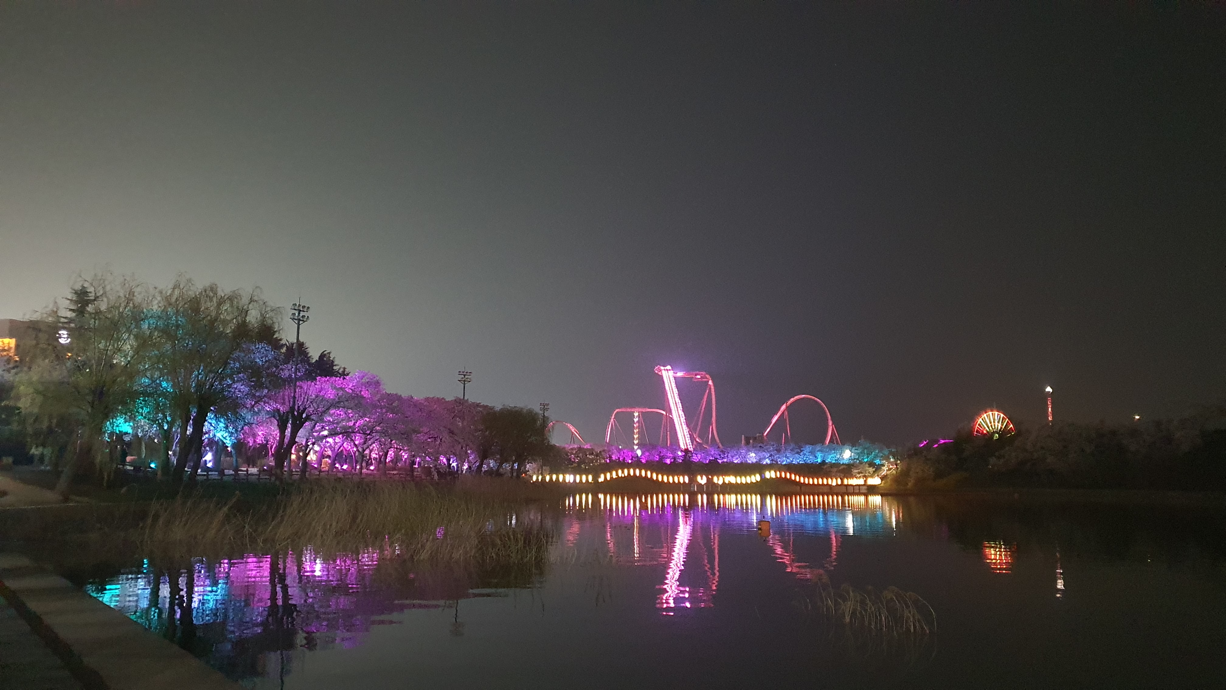 경주 보문관광단지 보문호 벚꽃길