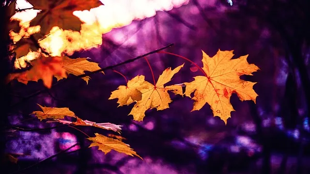 전씨 본관 종류 역사_6