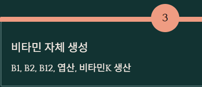 낙산균 효능과 부작용