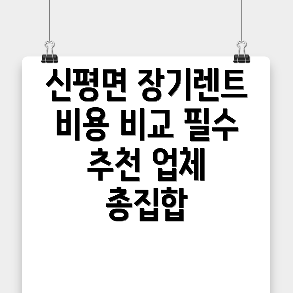 신평면 렌트카 비용