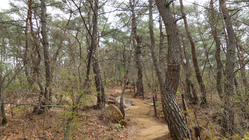 100대 명산 등산하기 스물아홉번째 경주 남산 1000년 유적의 고향 신라의 땅 우리나라에서 2번째 국립공원으로 지정된 경주 남산
