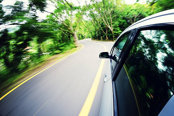 815-광복절-특별사면-운전면허-조회