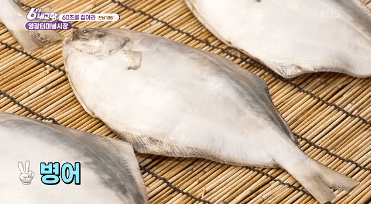 [6시내고향]전남 &amp;#39;영광터미널시장&amp;#39; 굴비 부세 홍어 모싯잎송편 택배 구매 연락처 정보