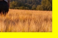 정부청년복지 지급조건&amp;#44; 정부청년복지 선정방법&amp;#44; 정부청년복지 정책혜택