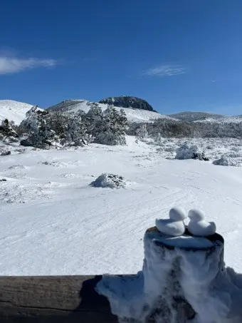 한라산 탐방로예약 시스템 등산 코스_21