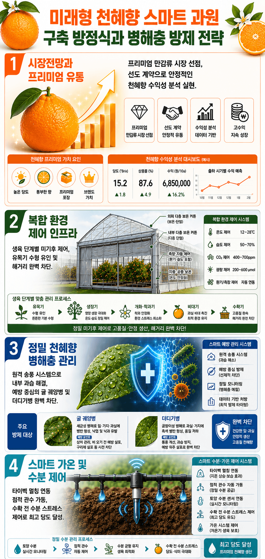 천혜향 성공 방정식 인포그래픽