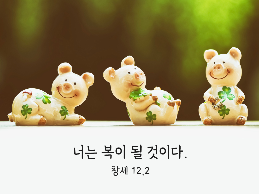 너는 복이 될 것이다. (창세 12,2)