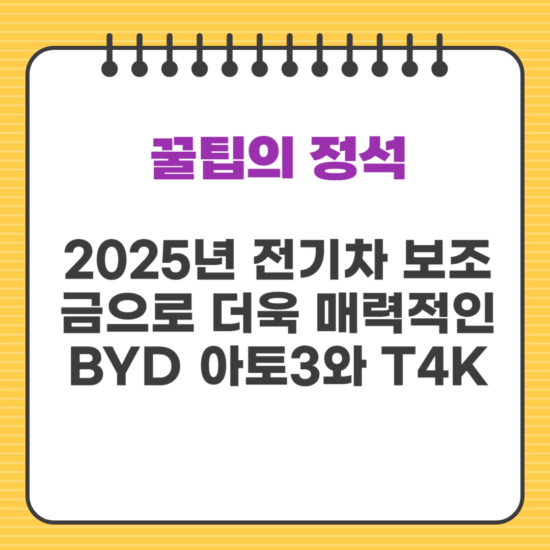 2025년 전기차 보조금으로 더욱 매력적인 BYD 아토3와 T4K