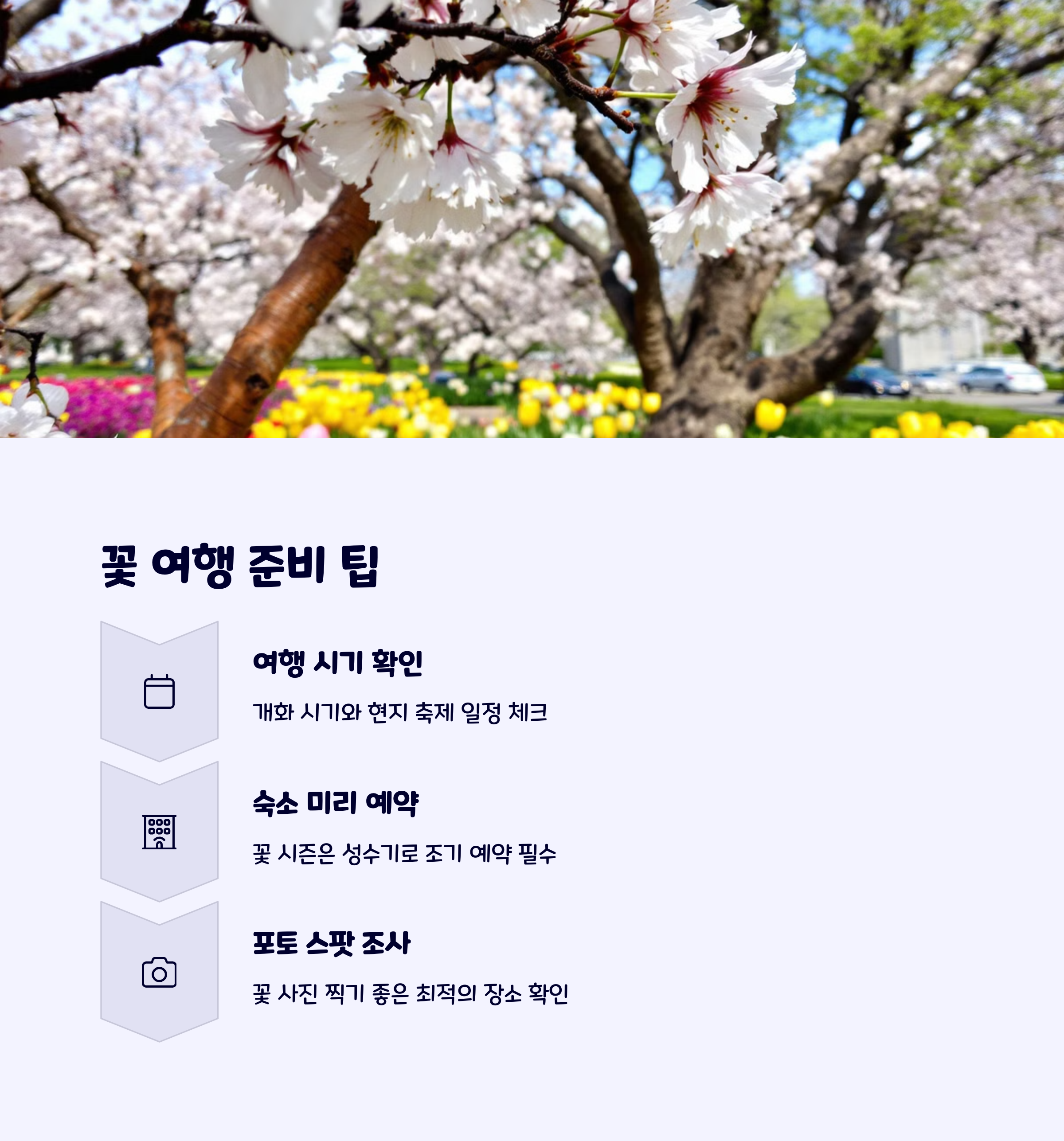 꽃구경